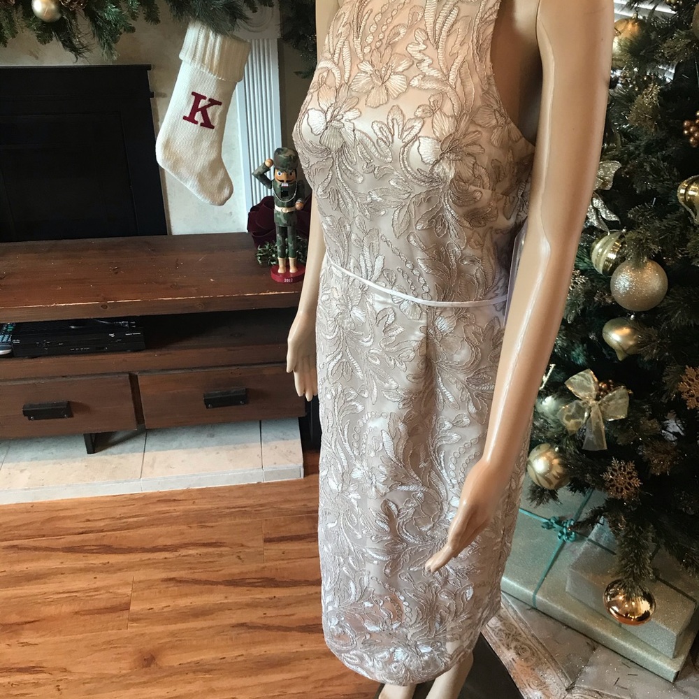 JS Collection Lace Dress Size 6